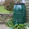 60-Gallon High Density Polyethylene Plastic Rain Barrel in Forest Green